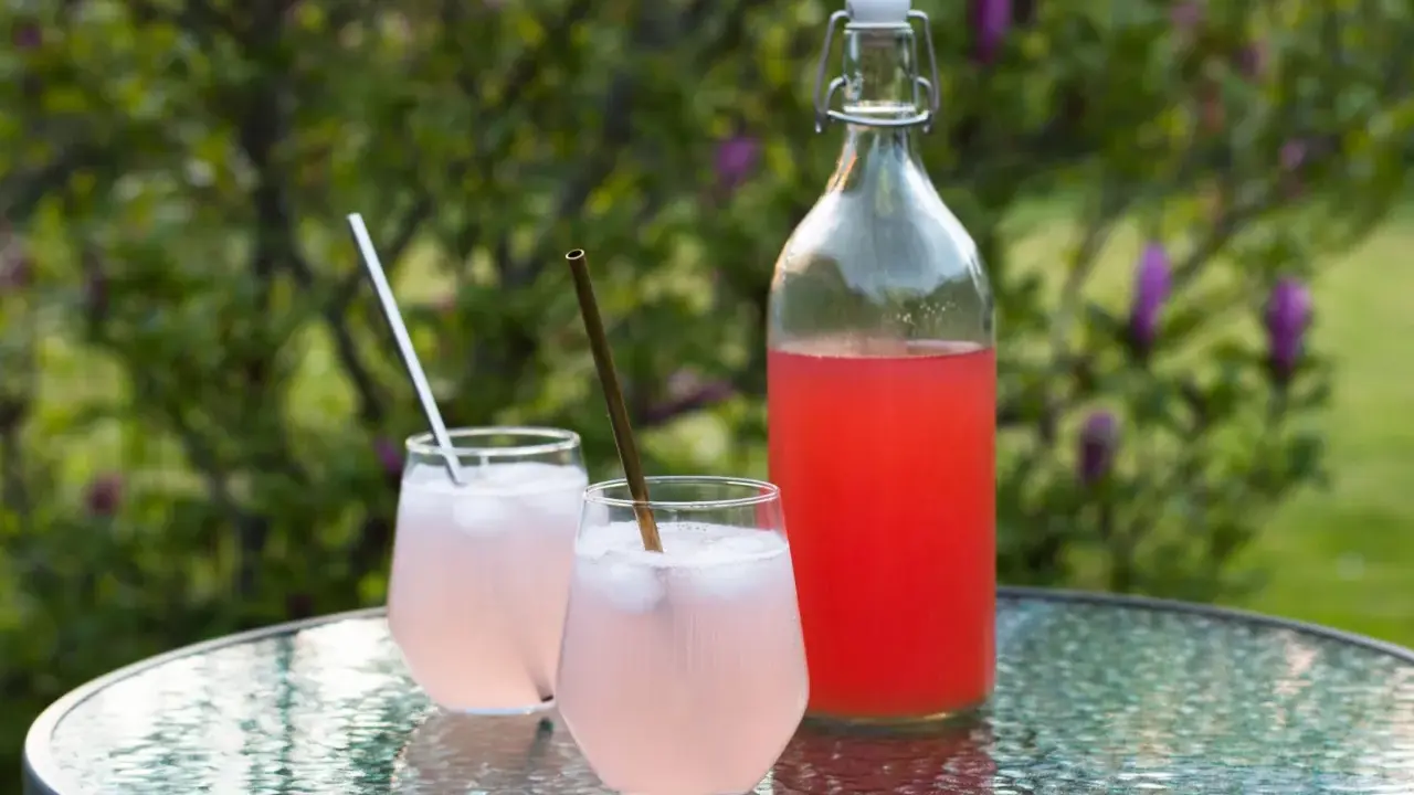 En flaska och två glas med rosa rabarbersaft står på ett glasbord utomhus. Perfekt för ett enkelt rabarbersaft recept.