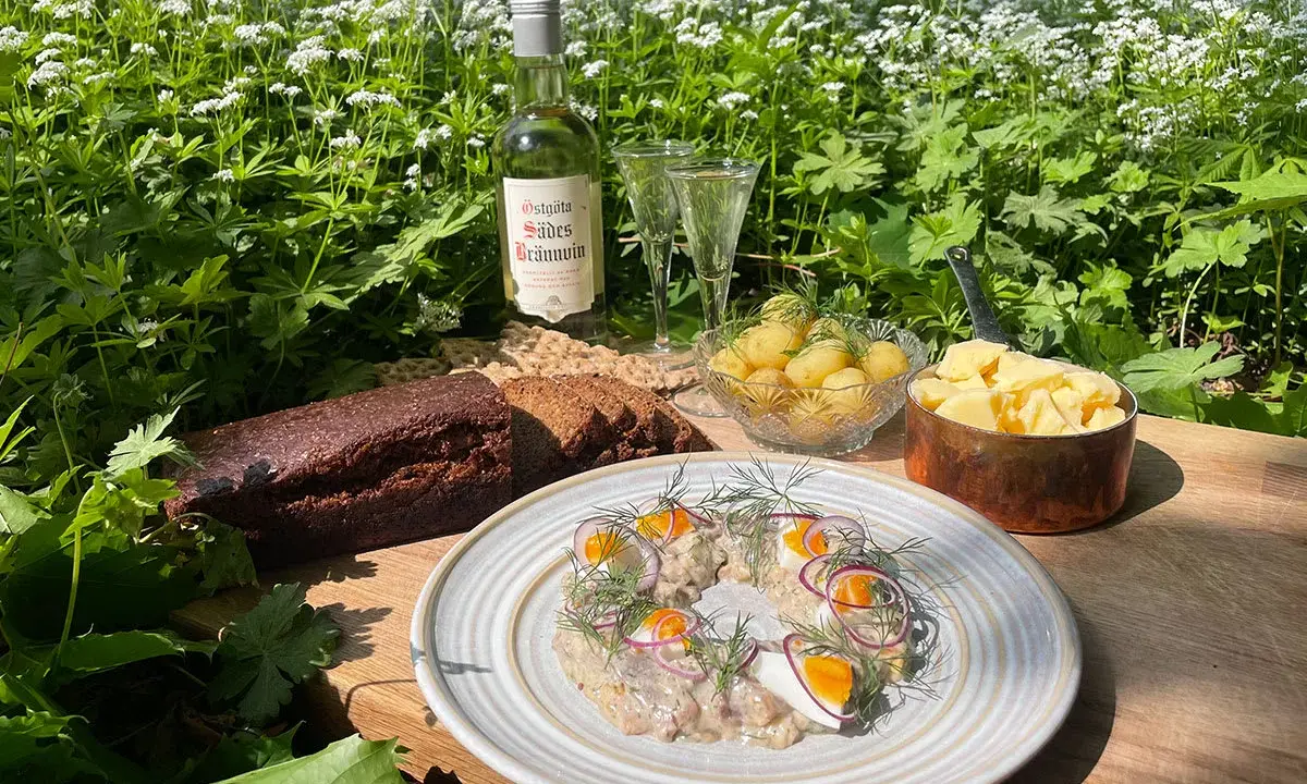 En härlig sommardukning med sill, färskpotatis, mörkt bröd och en flaska Östgöta Sades Brännvin för egen snaps till sillen.