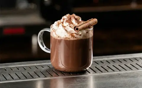 En mugg med vispad grädde, kanel och chokladpulver. Denna godaste varm choklad ser inbjudande ut.