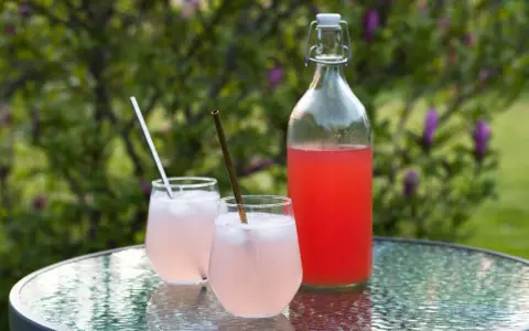 En flaska och två glas med rosa rabarbersaft står på ett glasbord utomhus. Perfekt för ett enkelt rabarbersaft recept.