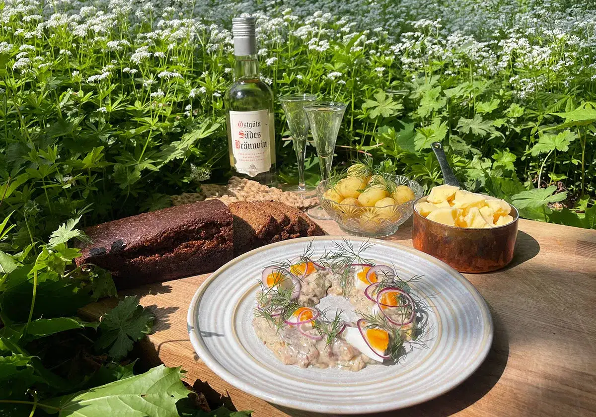 En härlig sommardukning med sill, färskpotatis, mörkt bröd och egen snaps till sillen.